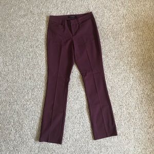 Liverpool Jeans Company Trouser Pants in Port Wine